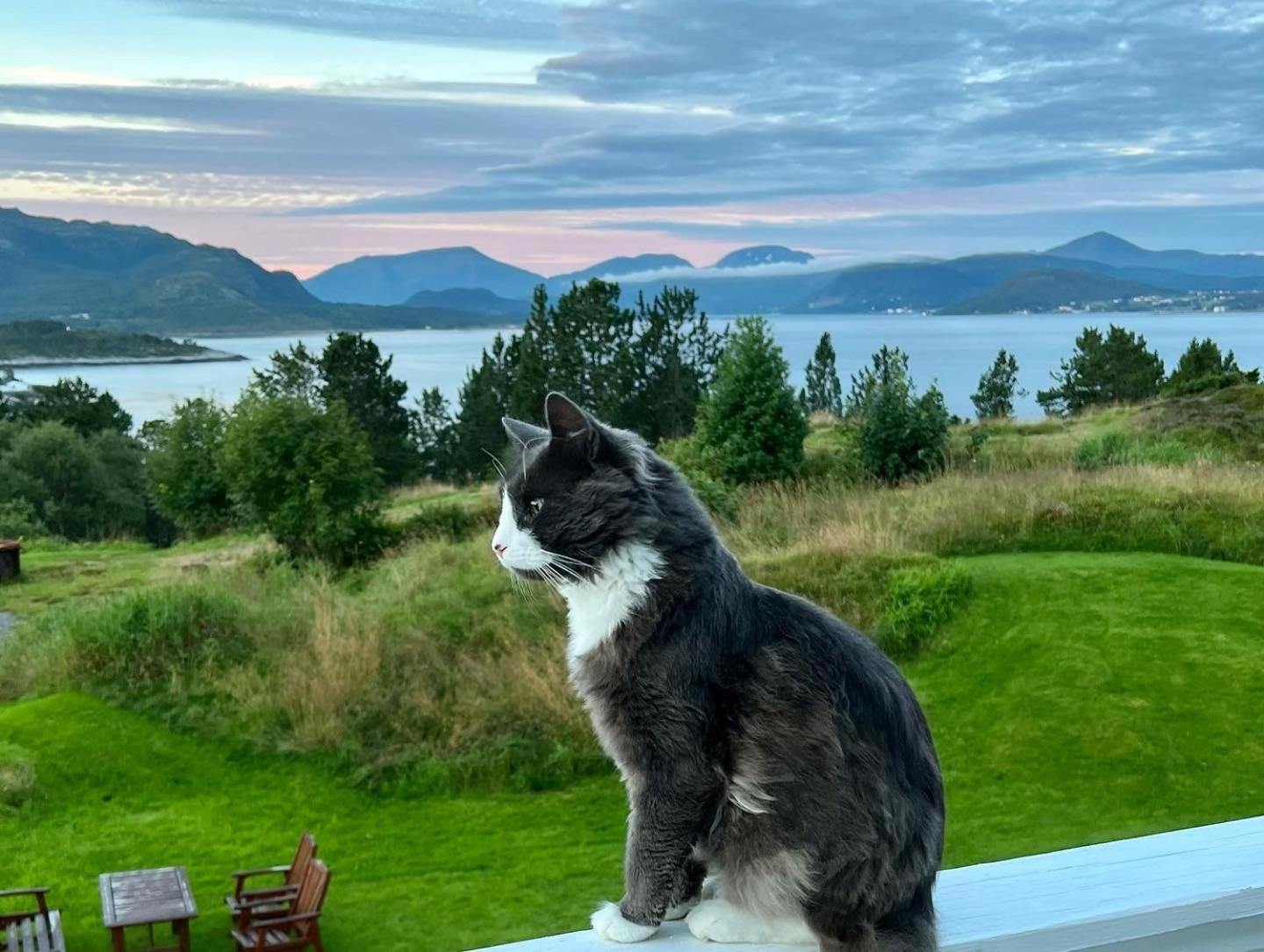 Wake Up To A Beautiful View And Smell Of The Sea Kristiansund Exterior foto